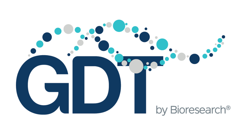 GDTechnologies